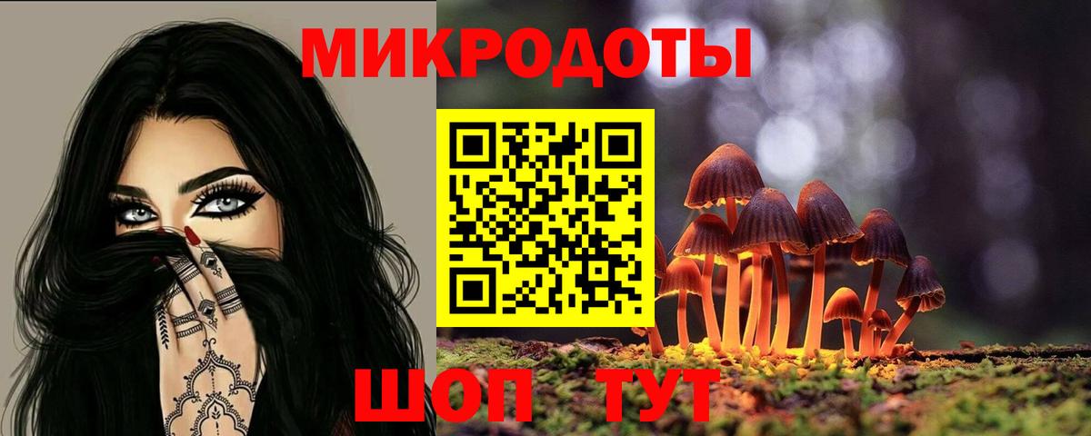 дарнет шоп  Галлюциногенные грибы Psilocybe  Вход с VPN  Ртищево 